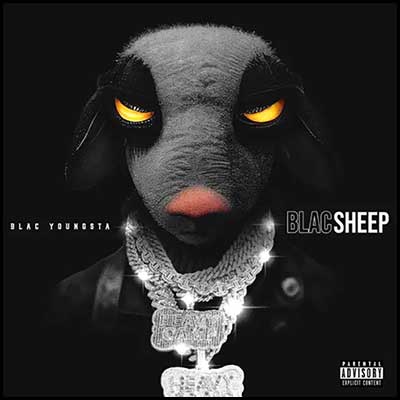 Blac Sheep