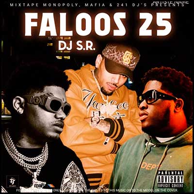 Faloos 25