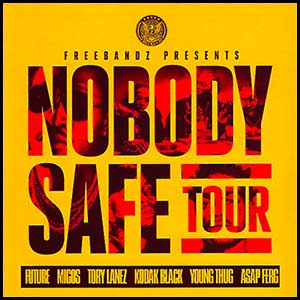 Nobody Safe Tour