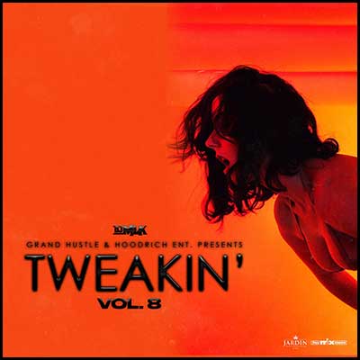 Stream and download Tweakin' 8